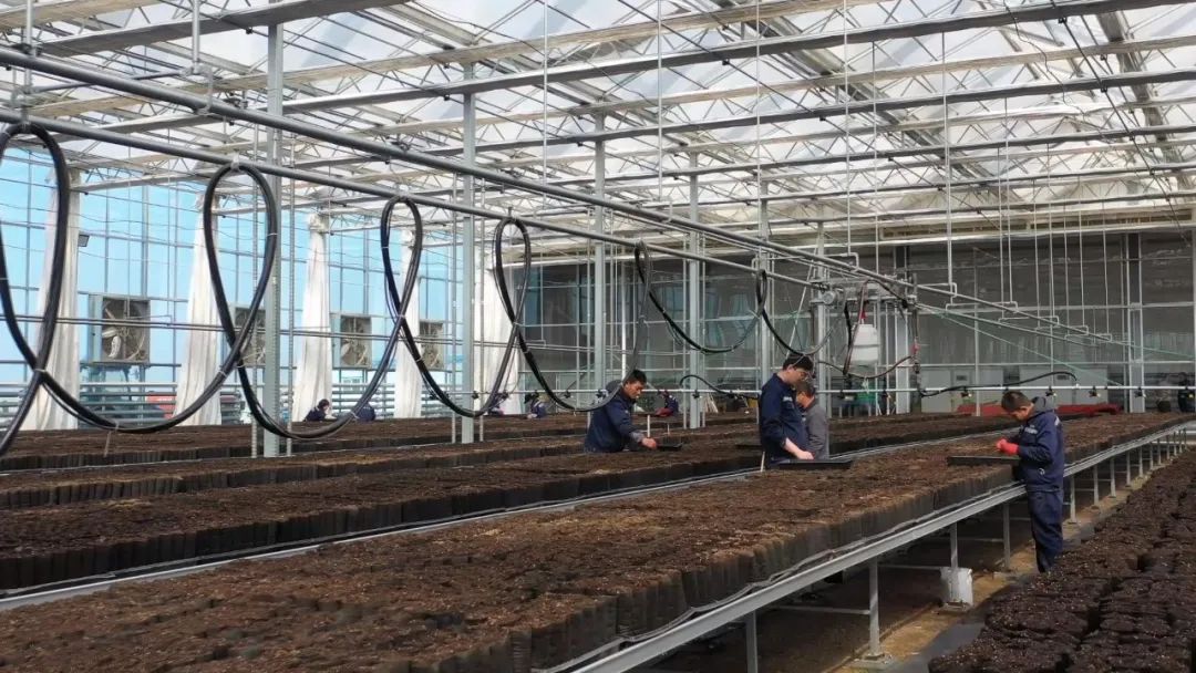 3044am����(�й�)���Źٷ���վ