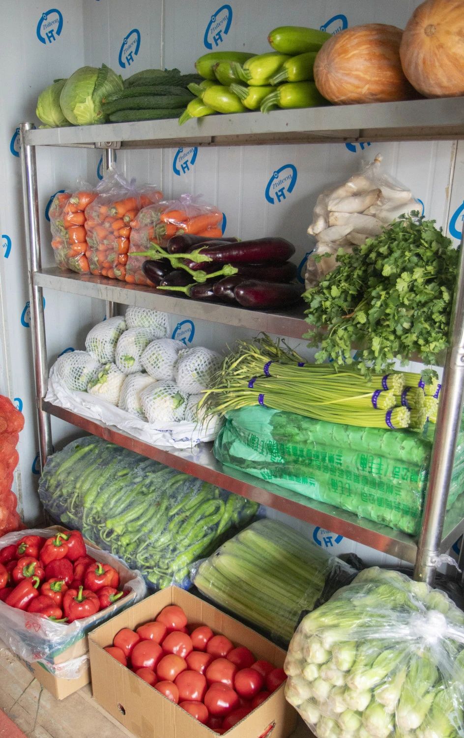 3044am����(�й�)���Źٷ���վ